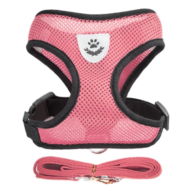 Vest Harness | Pet Harnesses Online | EatonPets