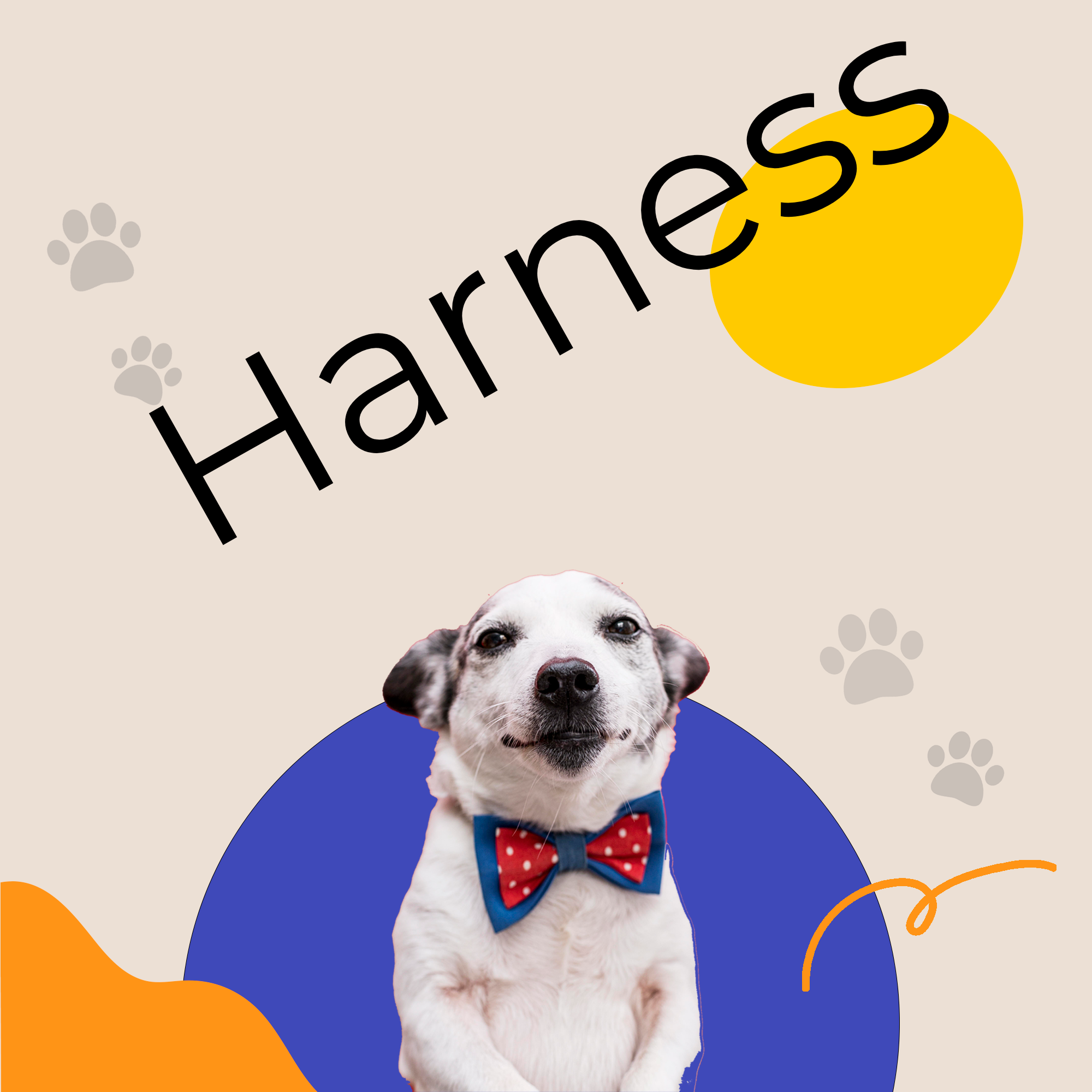 Buy Harness Online | Eaton Pets | Pet Supplies | Online Pet Store | Pet Toys | EatonPets