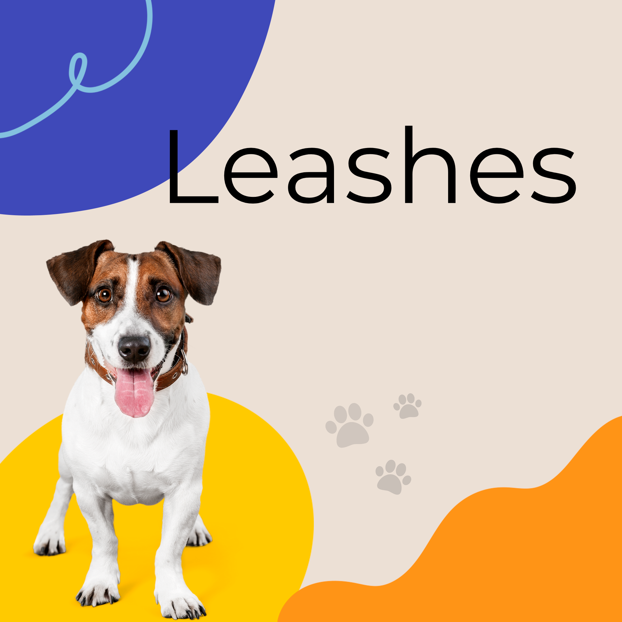 Pet Leashes | Eaton Pets | Pet Supplies | Online Pet Store | Pet Toys | EatonPets