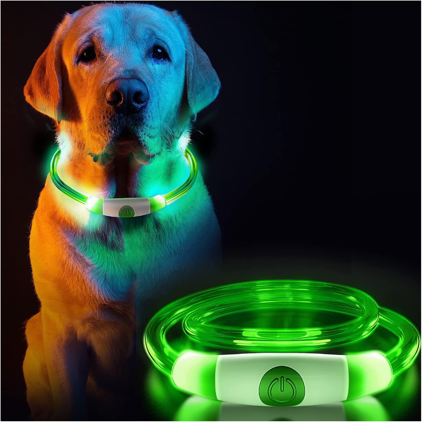 Luminous Collar | Eaton Pets | Pet Supplies | Online Pet Store | Pet Toys | EatonPets