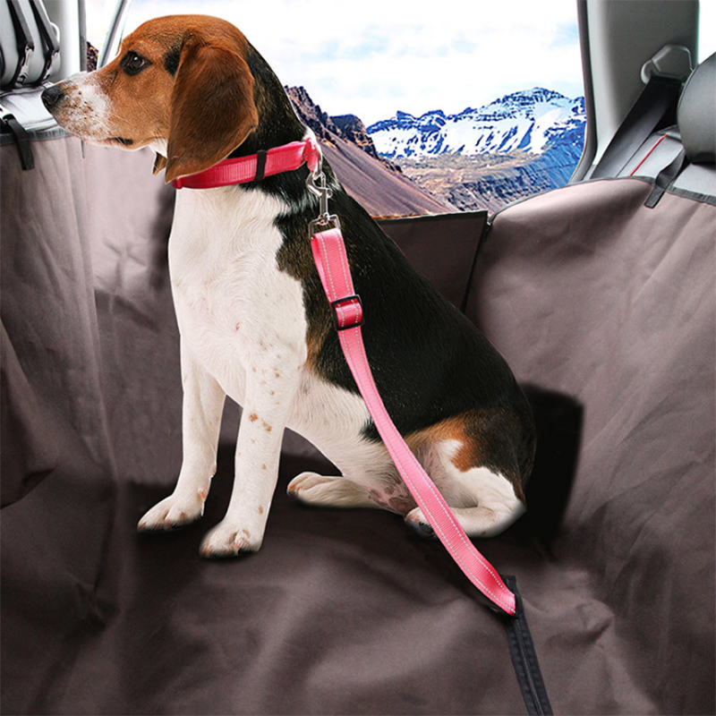 Seat Belt | Pet Travelling Accessories Online | EatonPets