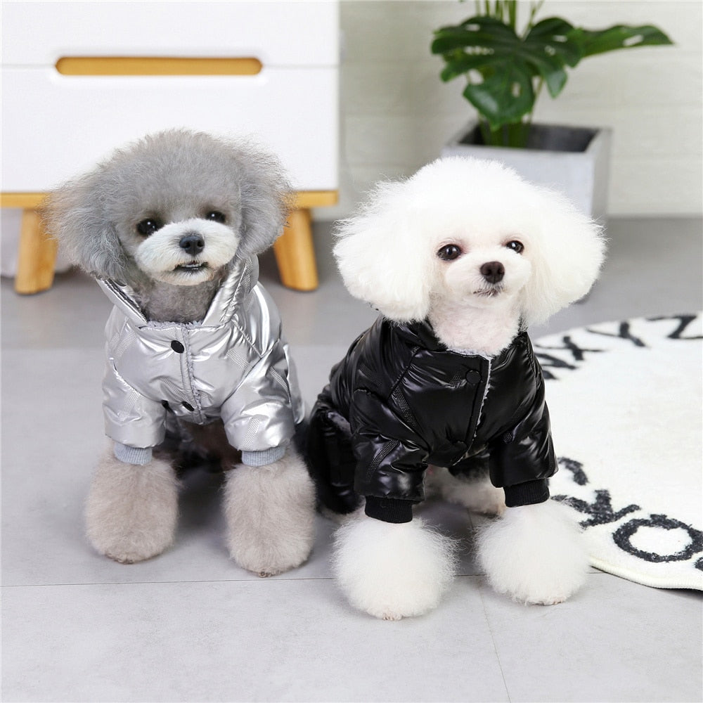Waterproof Jacket | Pet Clothes Online | EatonPets